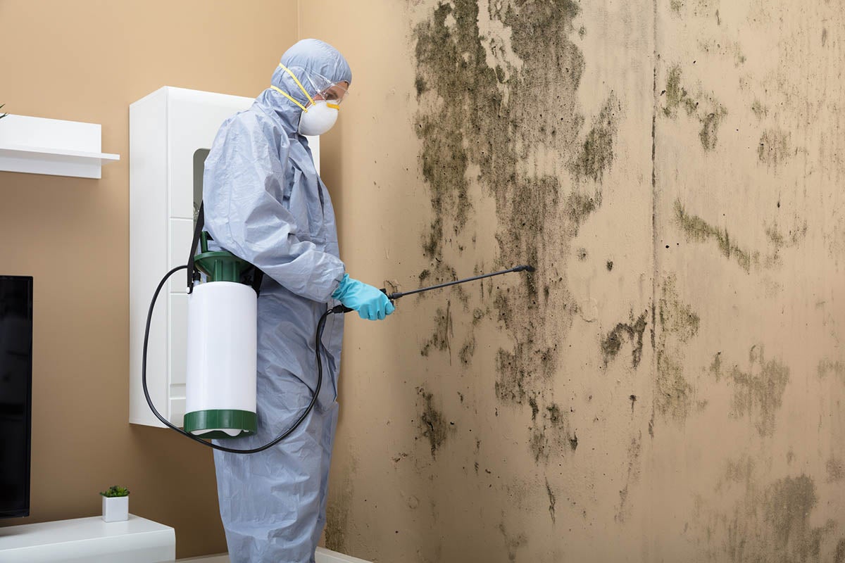 Water Removal Kent WA